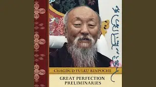The Precious Human Birth- LS Translates