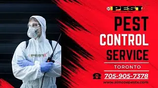 Affordable Pest Control Toronto - Say Goodbye to Unwanted Guests with Simcoe PestX Toronto