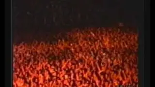 Bruce Springsteen Live in Rome 1988