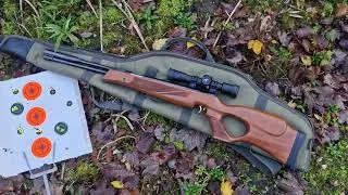 HW97KT .22 Caliber 