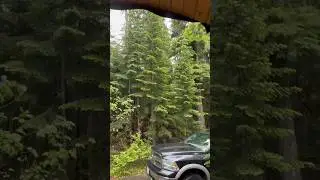 Rainy and cold days at Lost Lake Resort while my friend was visiting&hellip;. #lostlake #camping
