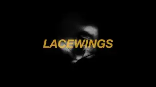 Lacewings - Golden (Harry Styles) [AI]