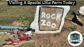 Van Life Off the Beaten Path: Exploring Alabama's Special Zoo Farm