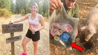Woman Vanished on Morning Jog in Napa, 2 Years Later Truffle Hunter&rsquo;s Pig Unearths This&hellip;
