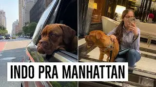 Indo pra Manhattan + minhas agendas + nova cama do Siren ♡ Roberta Frossard