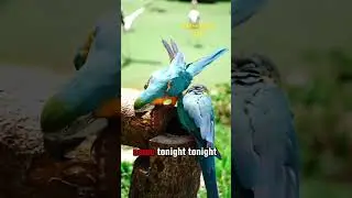 Joy In Motion | 30 Minutes Non Stop Gospel Sing Along Dance Vibes | Positive Quest PQF