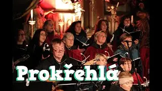 27 Prokřehlá - Žihelský sbor (cover by Anna K)