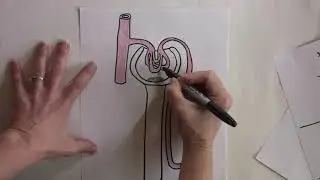 Net Filtration Pressure (NFP)