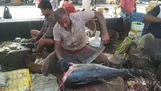 25Kg TUNA FISH 🐟 CUTTING / KASI MEDU/ FISH MARKET/Fast workers/காசிமேடு மீன் மார்க்கெட்