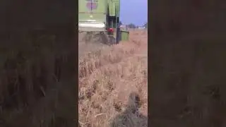 Tandrust Punjab Tandrust Soch