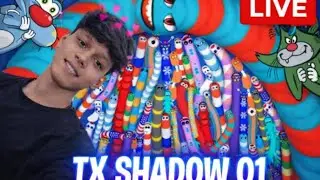Snake Game 😱 High Score Challenge | Can I Beat My Record?