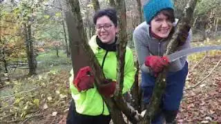 Coppicing at Dean Castle Country Park: Traditional Rural Skills