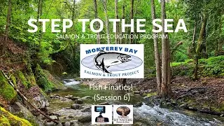 MBSTP Session 6 Fish Finatics By Virtual Photo Walks with Saved By Nature