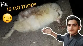 He is no more 😔💔|| shehr or gaon