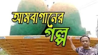 ছাদে বা জমিতে কোন জাতের আম গাছ লাগাবেন? সেরা আম গাছের জাত | The right mango, in the right place.