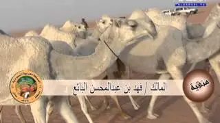 مـنـقــيـة مــسـيـرة فـهـد بـن عـبـدالـمـحـسـن الـبـاتـع