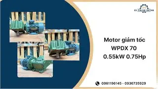 Motor giảm tốc WPDX 70 0.55kW 0.75Hp - H&agrave; Thanh Motor