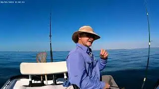 Catching triggerfish offshore and grouper inshore in Panama City on 12-2-22, part 2.