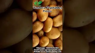 order now:+966576704565 #potato #bangladeshagro #vegetableexport #freshproduce #tasnuvatrade