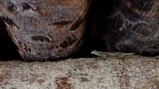 Recorrido por el cerro yaguar&oacute;n en un d&iacute;a de extremo calor pero de mucho disfrute.