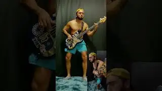 Especially in Michigan - Solo Bass Cover - Red Hot Chili Peppers  #rhcp #flea #anthonykiedis