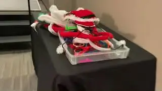 Christmas Party Entertainment / Photo Booth