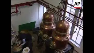 Decree overturns ban on original absinthe