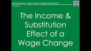 microeconomics: labor market & wage determination