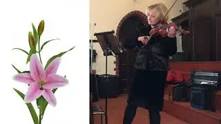 SANTOR - Powrócisz tu - SKRZYPACZKA Oprawa Muzyczna POGRZEB Skrzypce Trojmiasto Gdansk