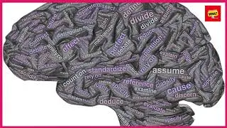 How to evaluate paranormal claims with skepticism and curiosity