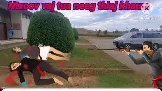 Ntxoov vaj tua neeg npog nroj ntsuab thiaj npam 9/1/2026