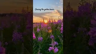beautiful sunrise #epicinstrumentals #shoets#youtubeshorts#love #sunrise