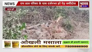 Etawah Illegal Tree Cutting Exposed | Ram Tal में दर्जनभर पेड़ काटे गए! Forest Dept Under Question