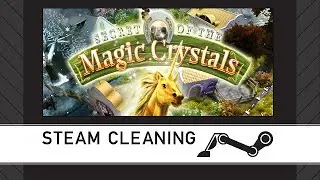 Steam Cleaning - Secret of the Magic Crystals