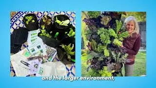 Planted Places x PayPal