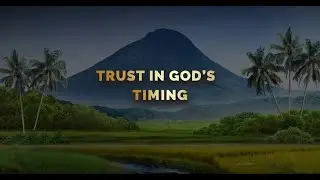 Vertraue auf Gottes Zeitplan