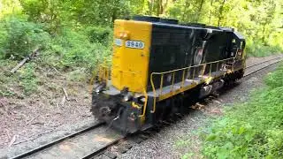 Blue Ridge Southern T31 Solo