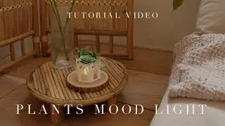 [Mini Class] DIY Plants Mood Light