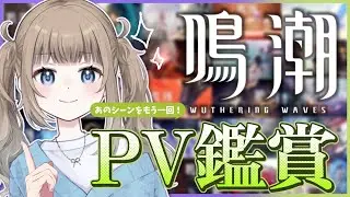 【鳴潮 / Wuthering waves 】PV鑑賞でのんびりストーリーを振り返る会＆アプデ情報を追う！【Vtuber】