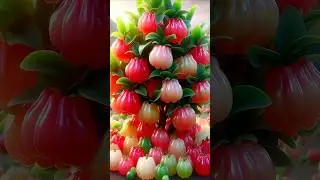 Techniques for propagating and growing wax apple trees easily and quickly #garden #plants