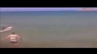 Catching Shark By Hand In Tunisia