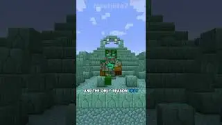 THERE Is A SECRET Elder Guardian MOB?