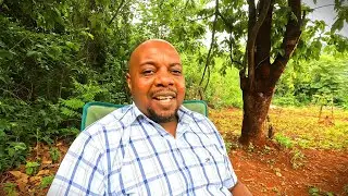 #16  Five Zimbabwe Hustles You Can Copy to Earn $500