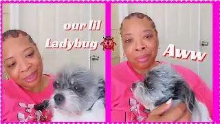 Me and Ladybug  our lil baby/Awwww 🐶🐶 #creatorstruggles #contentcreator #prayerwarriors 