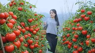 Farm life fresh vegetables, rustic dishes & cozy family moments#garden #asmr #cooking #food