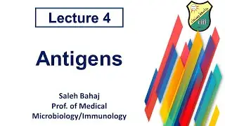 4 Antigens