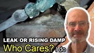 ❌ Kenwood’s “Rising Damp” Claim EXPOSED! 😱 Still Misleading? ⚠️ Cast Your Vote!