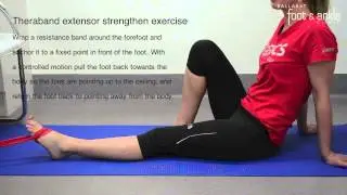 BFAAC Theraband Extensor Strengthen Exercise
