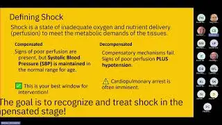 Pediatric Shock
