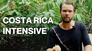Станьте практикующим специалистом по психоделикам | Интенсивный курс в Коста-Рике